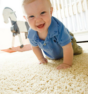 annapolis carpet cleaner