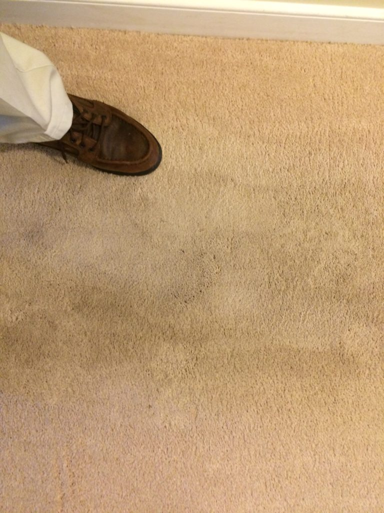 Worn Out Carpet