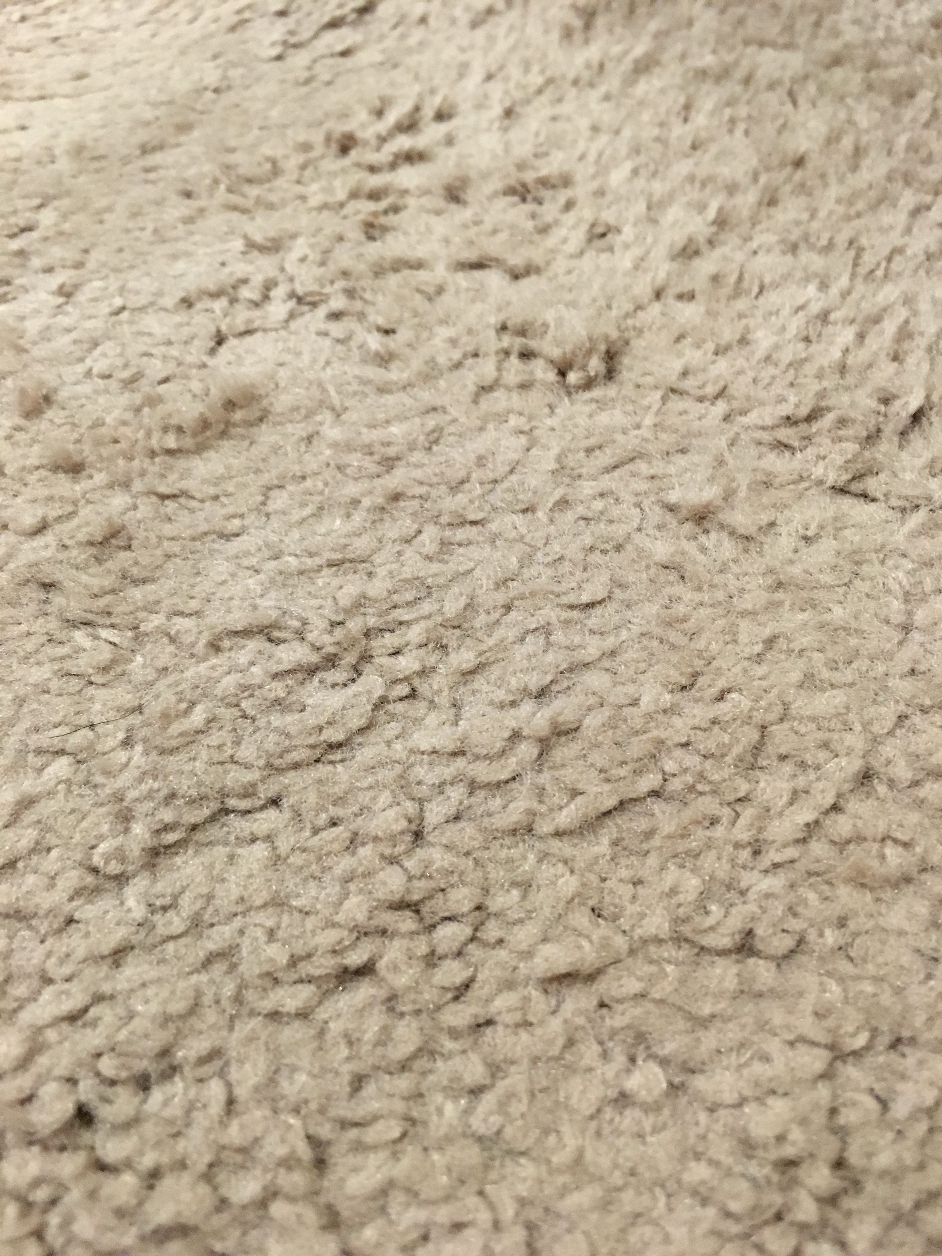 Cet carpets really clean