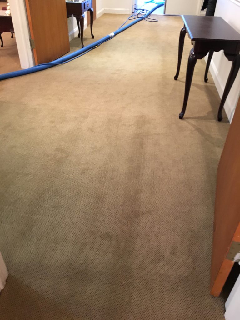 Roll Crush - Eco Interior Maintenance - Inspections