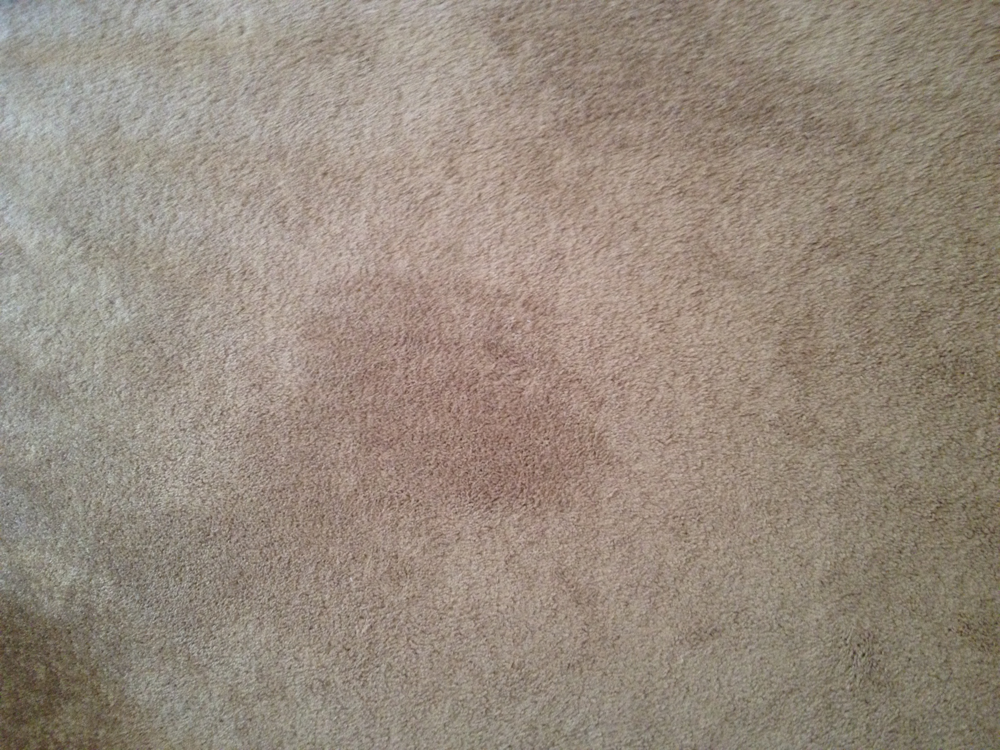 Cleaning Hotel Carpets -Stain