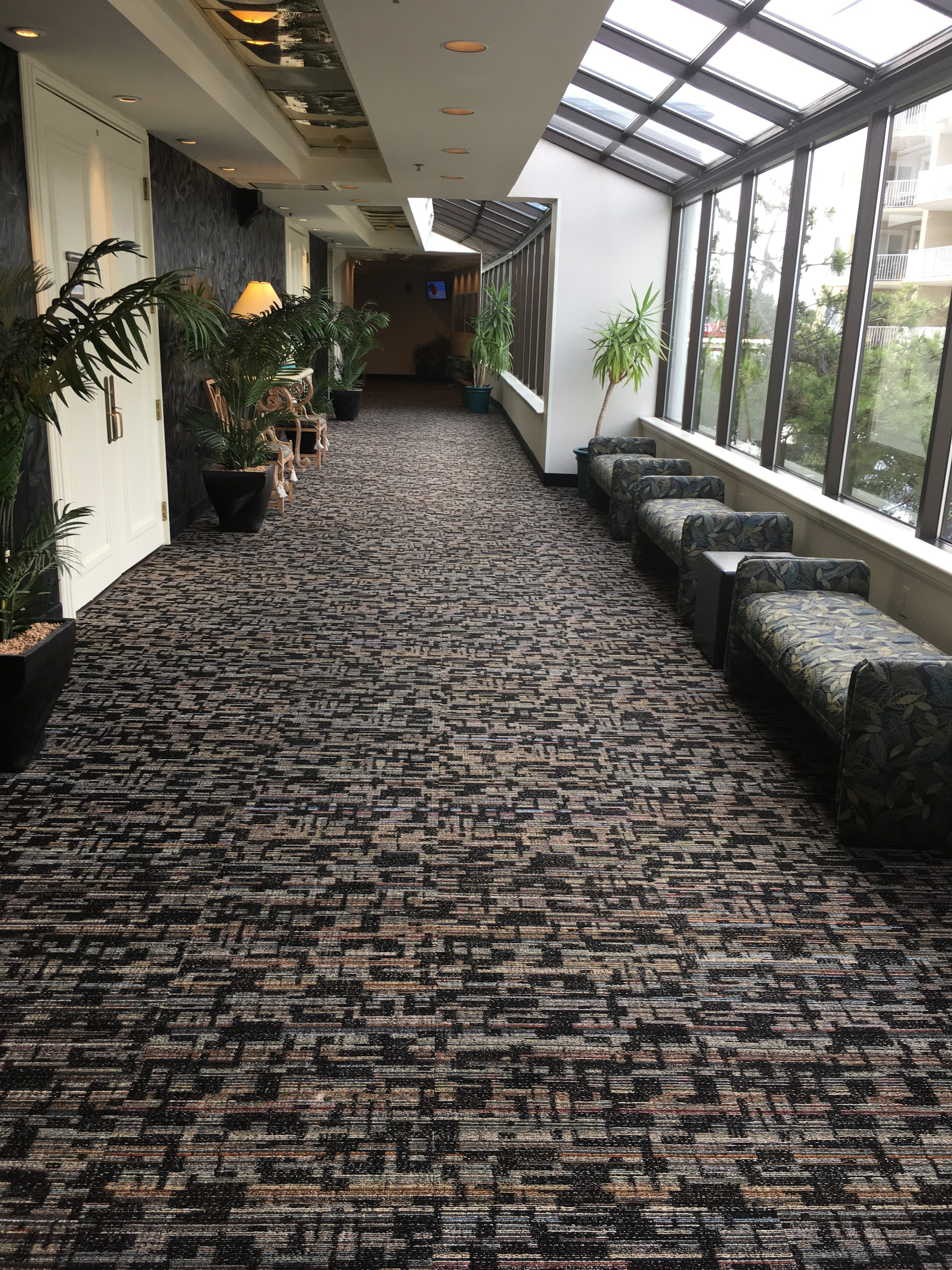 Commercial Carpet Maintenance