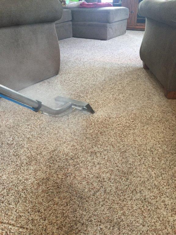 Best carpet Cleaning Method
